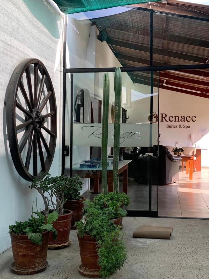 טאקנה Renace Suites מראה חיצוני תמונה